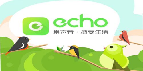 每天超200万票包裹从深圳飞往全球